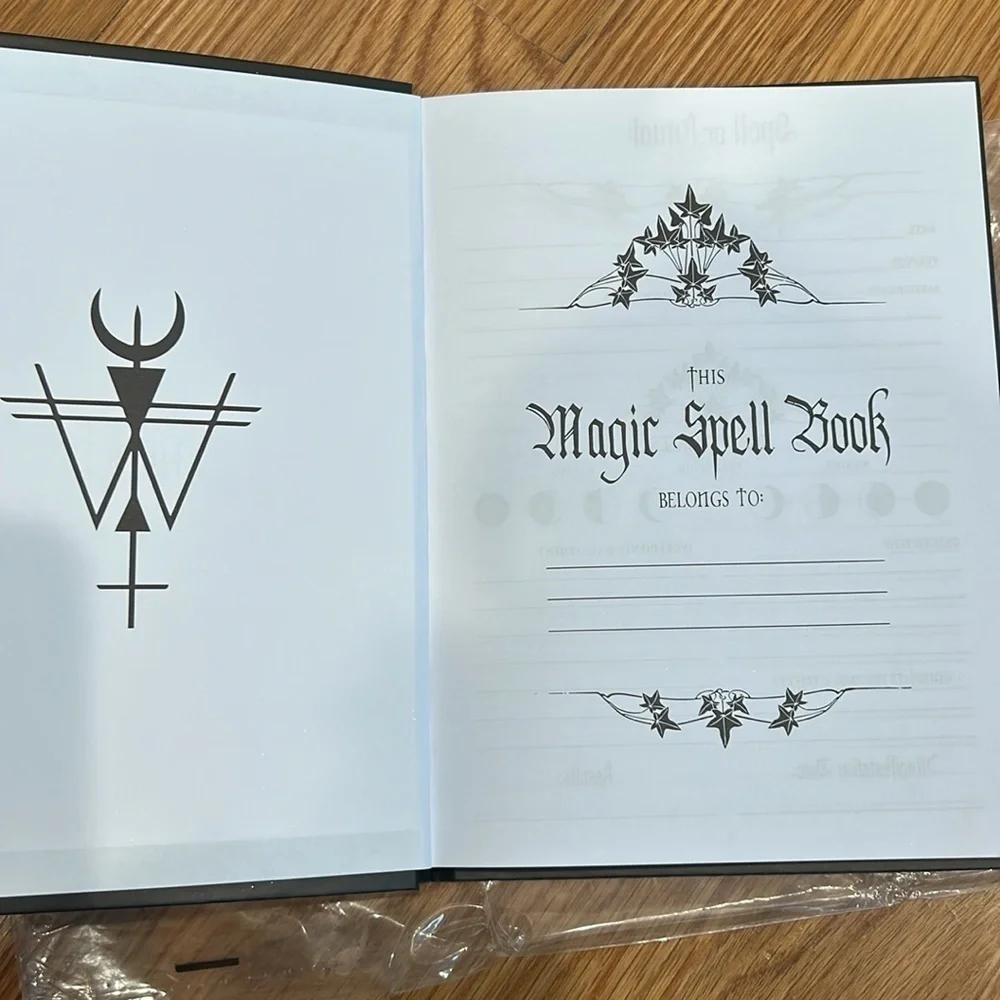 Brand New Dolls Kill x Emily the strange x spells rituals notebook bundle set